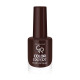 COLOR EXPERT NAIL LACQUER GR COLOR EXPERT NAIL LACQUER GR