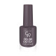 COLOR EXPERT NAIL LACQUER GR COLOR EXPERT NAIL LACQUER GR