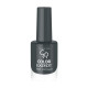 COLOR EXPERT NAIL LACQUER GR COLOR EXPERT NAIL LACQUER GR