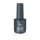 COLOR EXPERT NAIL LACQUER GR COLOR EXPERT NAIL LACQUER GR