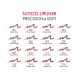 TATTOO LIPLINER PRECISION & SOFT GR
