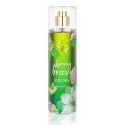 SPRING_BREEZE 